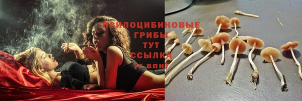 герыч Аша