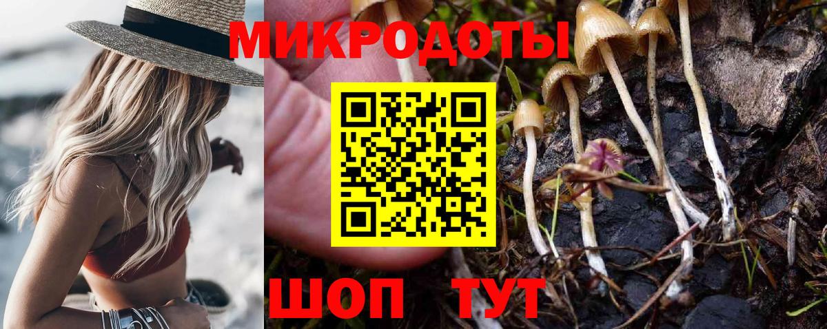 Галлюциногенные грибы Cubensis Егорьевск