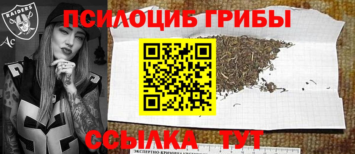 Галлюциногенные грибы Psilocybe  Вход с VPN  Егорьевск  Псилоцибиновые грибы мицелий 